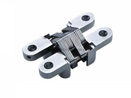 AG003 Zinc Alloy Concealed Door Hinge