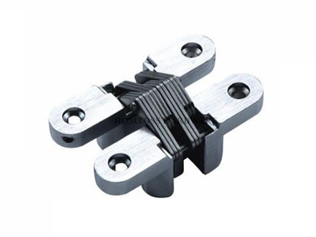 AG005 Zinc Alloy Concealed Door Hinge