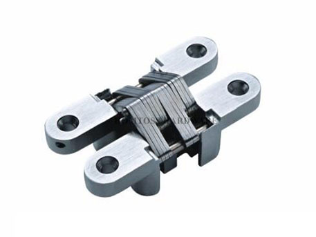 AG008 Zinc Alloy Concealed Door Hinge